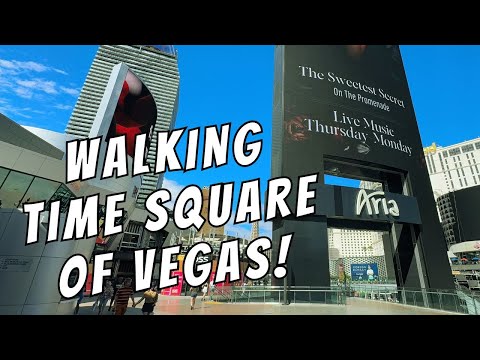 Wild Fortune Casino Test - Live!