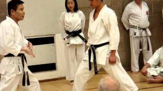 Shihan Mikio Yahara 8th dan Mawashigeri Demonstration