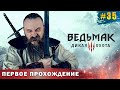 Интриги, заговоры и Дийкстра. Возвращение в Новиград. Ведьмак 3 Дикая Охота. Часть 35.