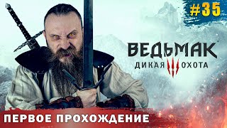 Интриги, заговоры и Дийкстра. Возвращение в Новиград. Ведьмак 3 Дикая Охота. Часть 35.