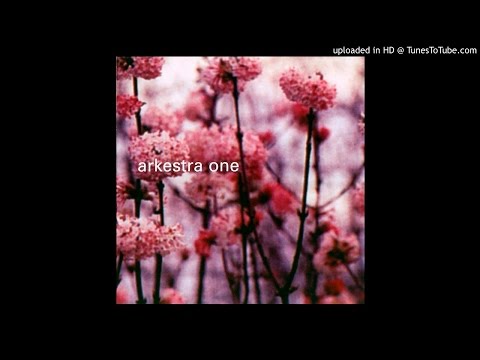 Arkestra One — Arkestra One - I Really Want You