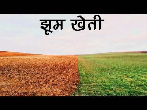 EVS - झूम खेती  -  किसके जंगल -  भाग 2  Jhoom Farming - Whose Forests? - Part 2 -  Hindi