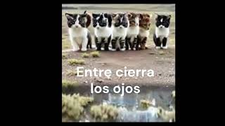 Entre Cierra Los Ojos