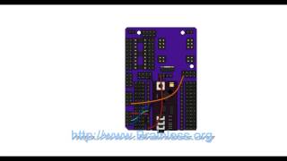 RoboGuts + 28X2module Lesson 19