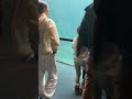 Cute Girls Exploring the Alaska SeaLife Center in Seward, Alaska #shorts #sealifecenter #seward #fun