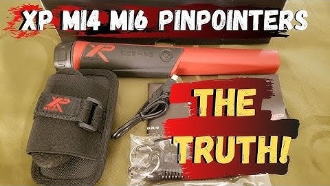 The Smartest Pinpointer Yet? 🔎 XP MI-6 Metal Detector Review