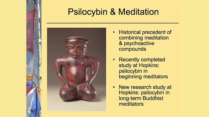 Dr Katherine MacLean - Psilocybin & Personality Ch...