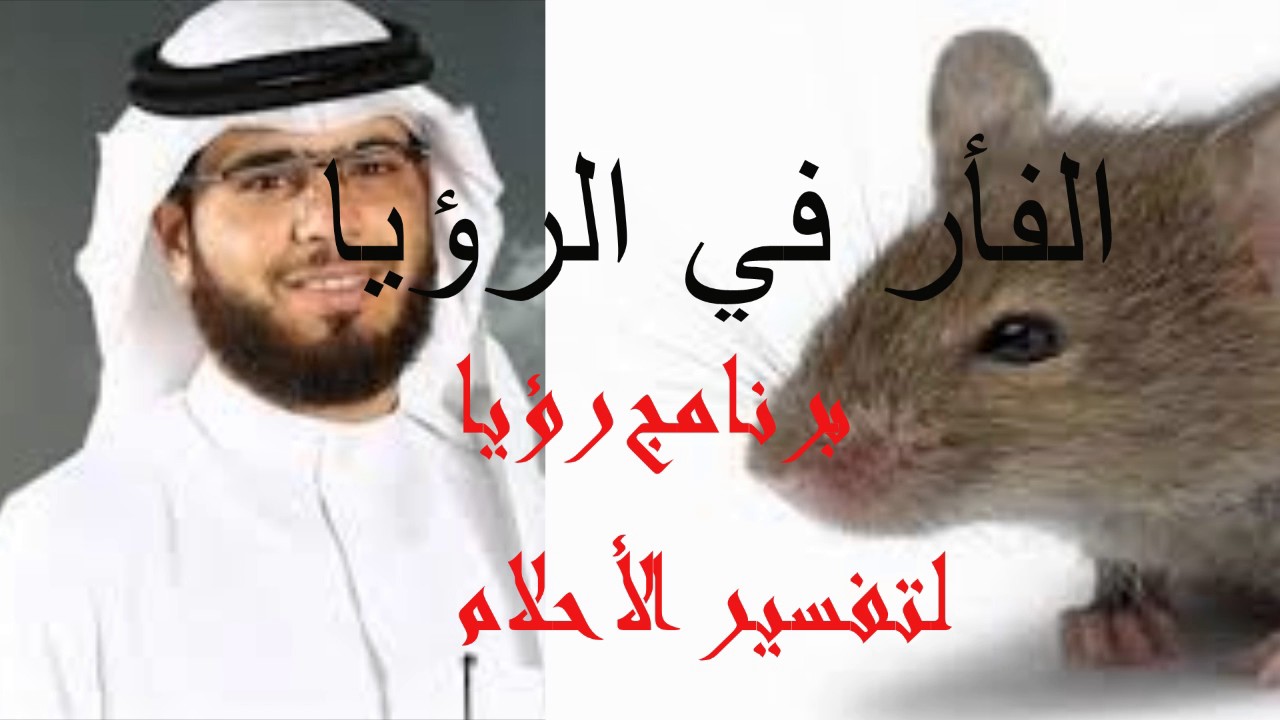 الفأر في الرؤيا الشيخ وسيم يوسف تفسير الأحلام Youtube