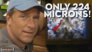 Mike Rowe Helps Breed Oysters: The "Kidneys" of the Chesapeake Bay | Somebody