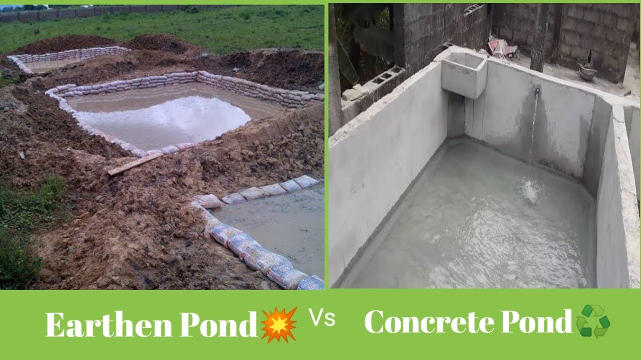 CONCRETE POND Vs EARTHEN POND; Which One is The Best For Rearing  Cat-Fishes????