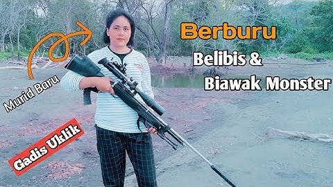 Berburu Belibis dan Biawak di muara ‼️ Bersama wanita cantik