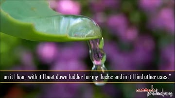 Sura Tā Hā || Riwayah Khalaf 'an Hamza || سورة طه برواية خلف عن حمزة