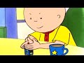 Caillou's Spinner Toy | Caillou Cartoon