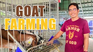 AMAZING GOAT FARMING | TAMANG PAG-AALAGA, SURE ANG KITA: A SUCCESS STORY OF MR. RANDY VALERIO