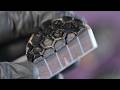 Making a heat shield that works by failing