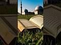 Hans Rha Hy Nazr MN Madina Top Naat 2025 Latest Short рџ Hans Rha Hy Nazr MN Madina Top Naat 2025 Latest Short рџ