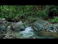 Let Go of Stress Fast with Gentle Stream Sounds for Sleep and Calm Mind Reset Tonight