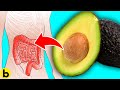 What happens to your gut if you eat avocado every day