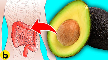 What Happens To Your Gut If You Eat Avocado Every Day