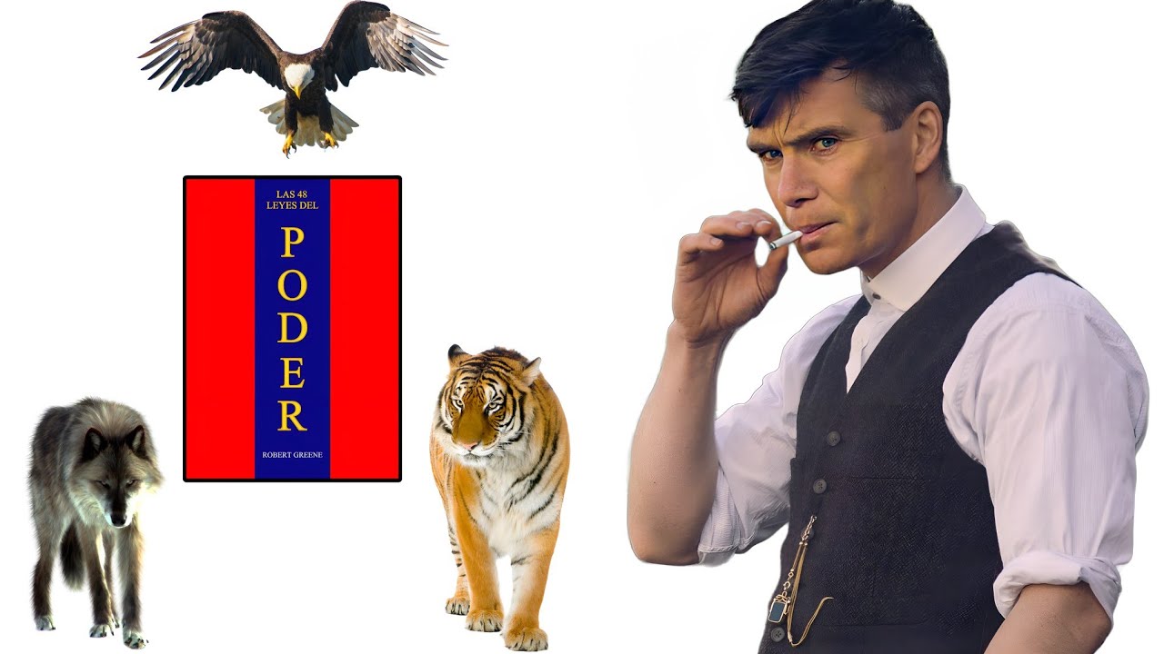 5 leyes SIGMA del poder para DESPERTAR tu MASCULINIDAD