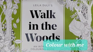 Colour with me in Leila Duly's 'Walk in the Woods'  Bramble mouse.