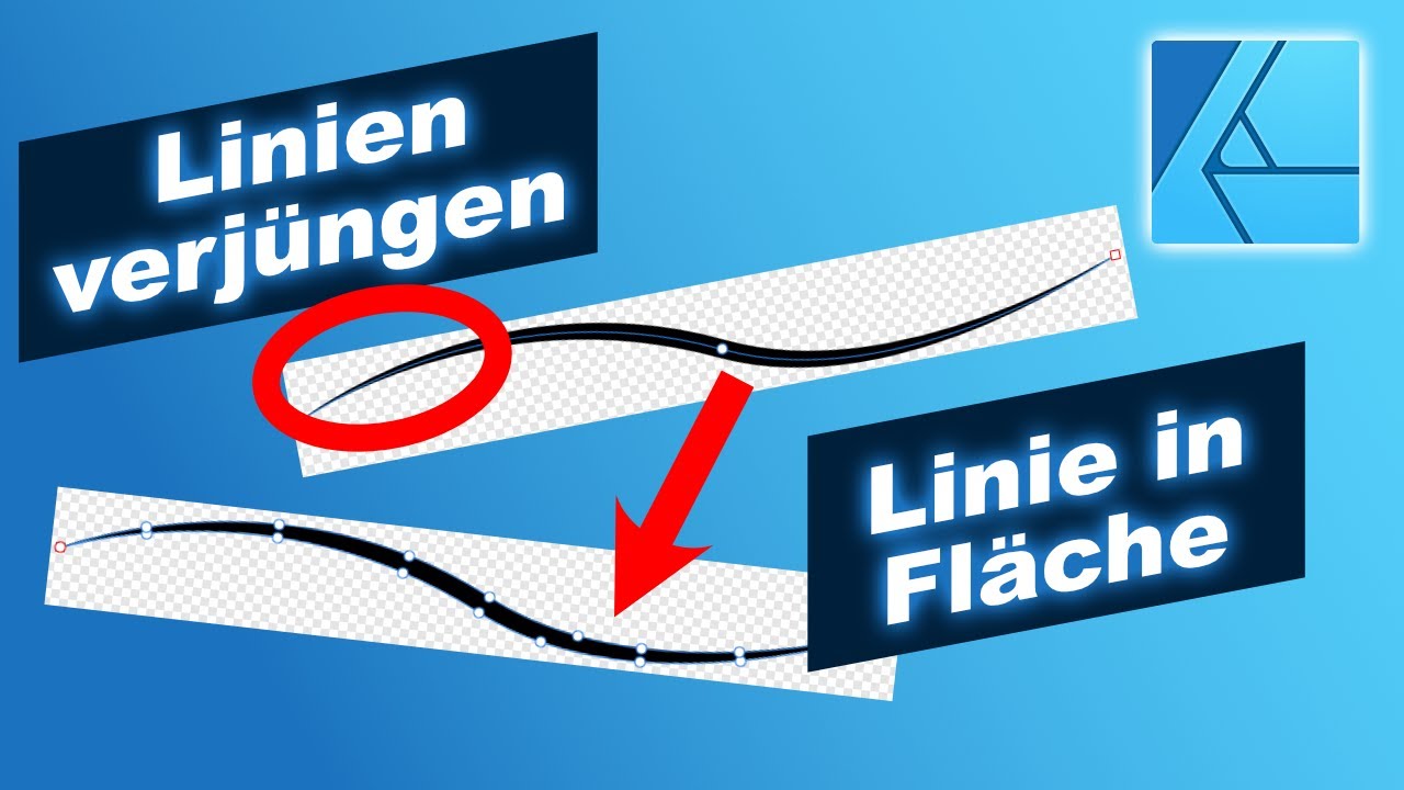 Linien in Flächen umwandeln Affinity Designer Tutorial