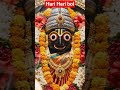 Jai jagannath ji #jagannath #jagannathtemple #jagannathpuri #shorts #bagtutorial
