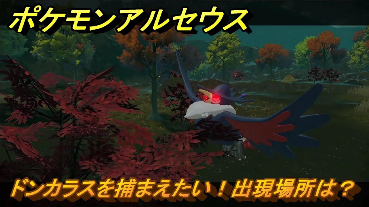 ポケモンアルセウス ドンカラスを捕まえたい！出現場所は？ ＃299 
