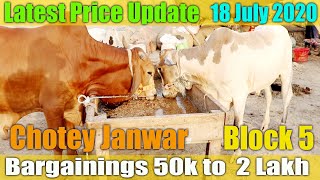 Latest Price Update Sohrab Goth Cow Mandi 18 July 2020 Block 05