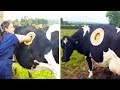 10 Vacas Que No Creerás Que Existen!