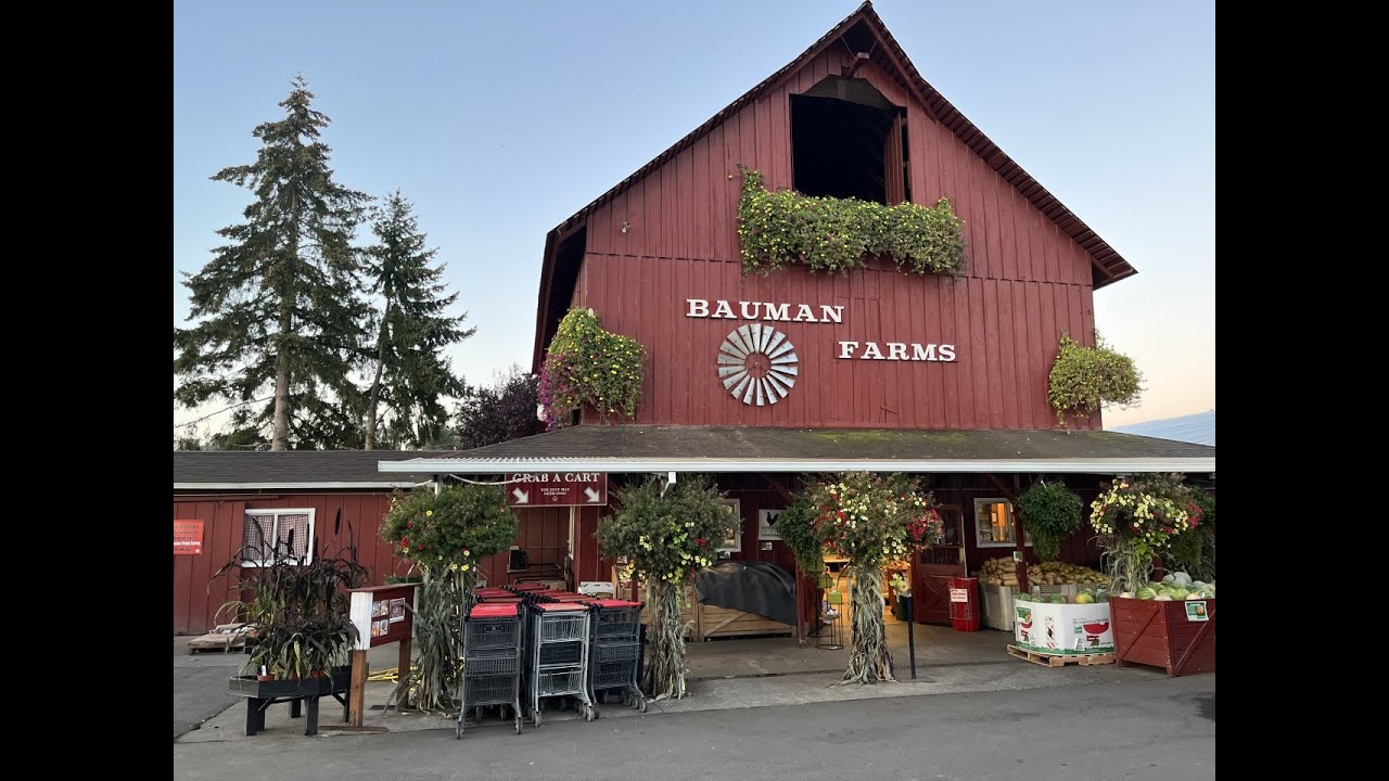 On the Go with Joe at Bauman Farms Harvest Festival YouTube