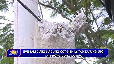 EVN tạm dừng sử dụng cột điện ly tâm dự ứng lực tại những vùng có bão