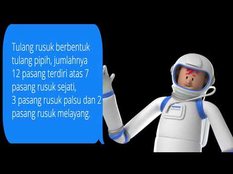 Video: Paru-paru mana yang melindungi jantung?