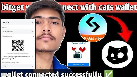 How To Connect Cats Bybit Wallet | Cats Airdrop Withdrawal Bybit Deposit Adress ,Memo | Cats Airdrop