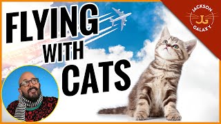 Jackson Galaxy's Tips for Flying with Cats