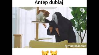 antep dublaj şükrü 3 harflimisin