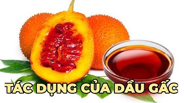 Dầu gấc có tác dụng gì? Ai không nên sử dụng dầu gấc? - Kênh Hướng Dẫn