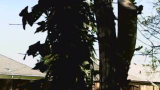 BMW Car Key Spy Camera outdoor test SUNP001