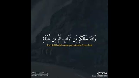 يوسف العيدروس - سورة فاطر