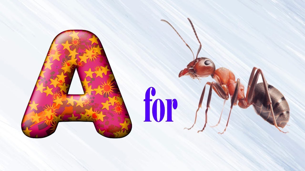 муравей карточки для детей. муравей на английском произношение. муравей мультяшный. муравей. муравей рисунок.