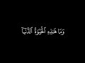د وما هذه الحياة الدنيا إلا لهو ولعب كروما قرآن كريم القارئ عبد الرحمن مسعد سورة العنكبوت د وما هذه الحياة الدنيا إلا لهو ولعب كروما قرآن كريم القارئ عبد الرحمن مسعد سورة العنكبوت