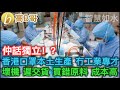 仲話獨立！？ 香港口罩本土生產 冇工業專才 壞機 遲交貨 買錯原料 成本高 誠邀加入網台 ［智慧如水］ 20200607