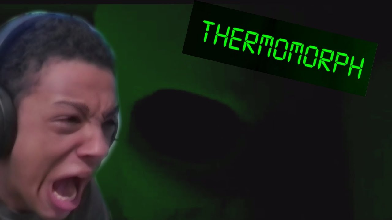 I'm about to lose my voice from this horror game | Thermomorph