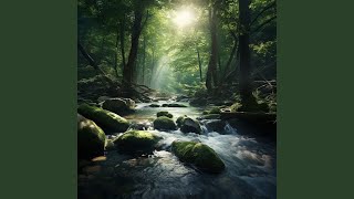 Study Focus Water Rhythms