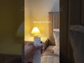 Why This Lamp is a 10/10 😍 | Homeyfad