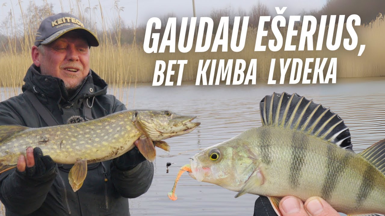 Vienam gale kablys: Pavasario ešeriai nauja sistemėle | žūklė su Pauliumi Korsaku