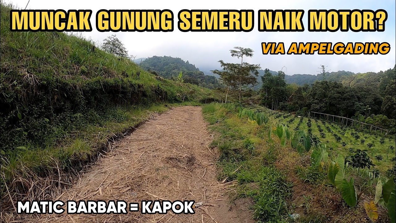 MUNCAK GUNUNG SEMERU NAIK MOTOR MATIC !? MENUJU SITUS PURBAKALA / CANDI JAWAR OMBO AMPELGADING!?