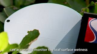 Leaf wetness sensor introduce from Renke
