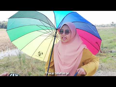 CUKAI TANAH ONLINE (PEJABAT DAERAH KECIL & TANAH GEMAS)