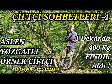 Dekarda 400 Kg FINDIK Verimine Nasıl Ulaştı❗ÇİFTÇİ SOHBETLERİ -4 | ÖRNEK FINDIK BAHÇESİ ❗